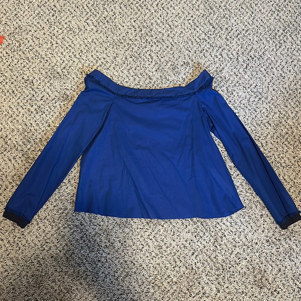 Trafaluc collection Zara Blue Top with Open Back